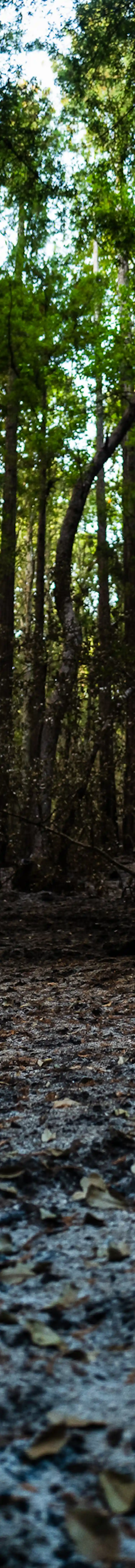 Fire Relief Santa Cruz Mountain Stewardship Action Center Fire Relief Santa Cruz Mountain Stewardship Action Center