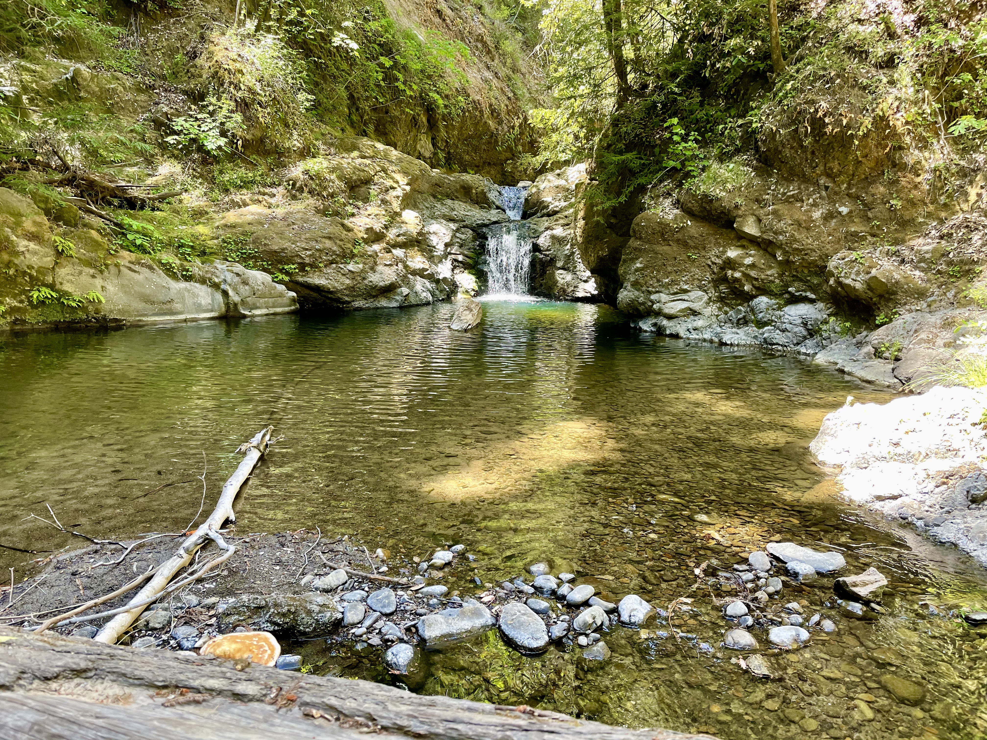 Restoring Hidden Falls Trail with the Girl Scouts