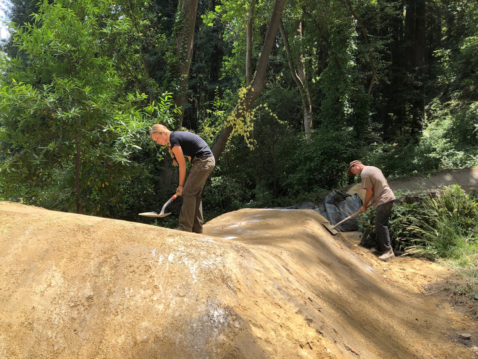 Harvey West Pump Track