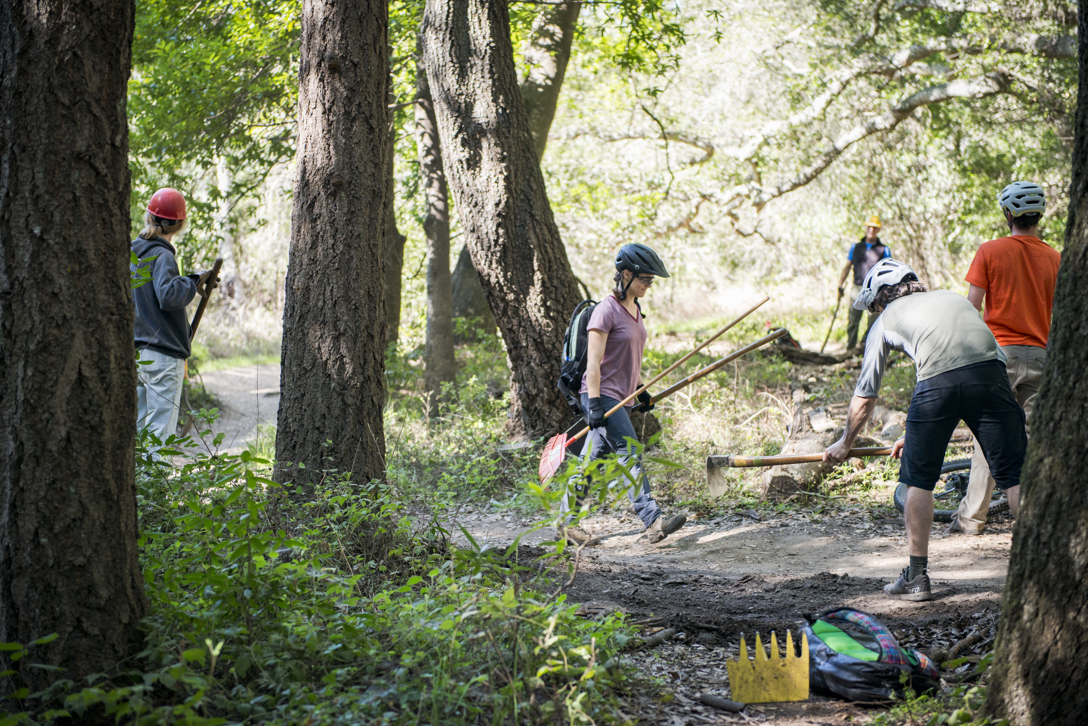 DeLaveaga Park Santa Cruz Mountains Stewardship Action Center