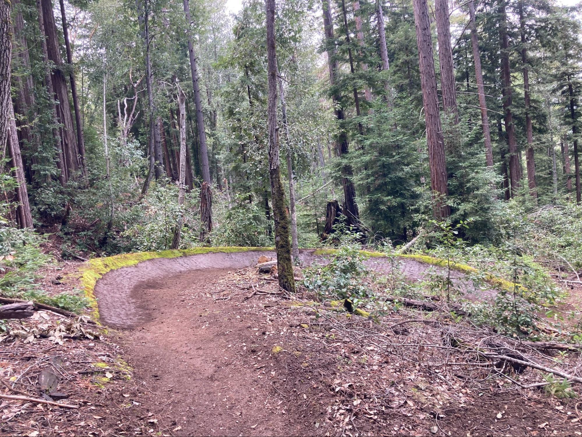 Trails Remain Closed in Soquel Demonstration State Forest