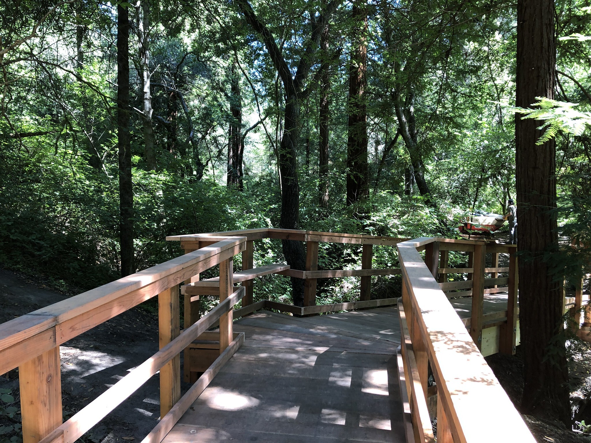 Pogonip Santa Cruz Mountains Stewardship Action Center